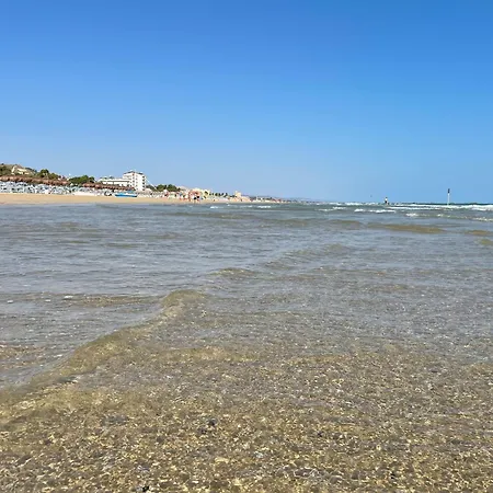 Miramare 3 Con Servizio