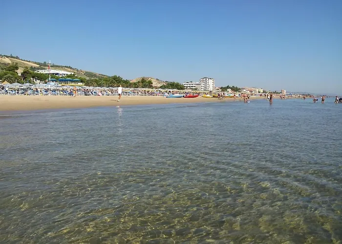 Miramare 3 Con Servizio